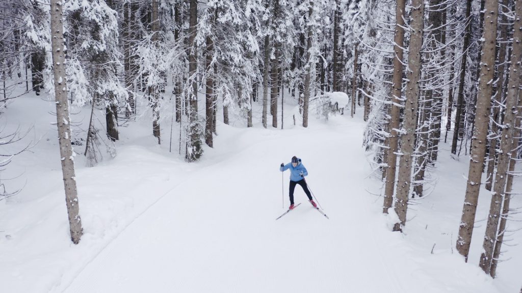 Cross-country skier gliding through a snowy forest in St. Martin am Tennengebirge