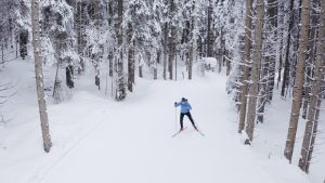 Cross-country skier gliding through a snowy forest in St. Martin am Tennengebirge