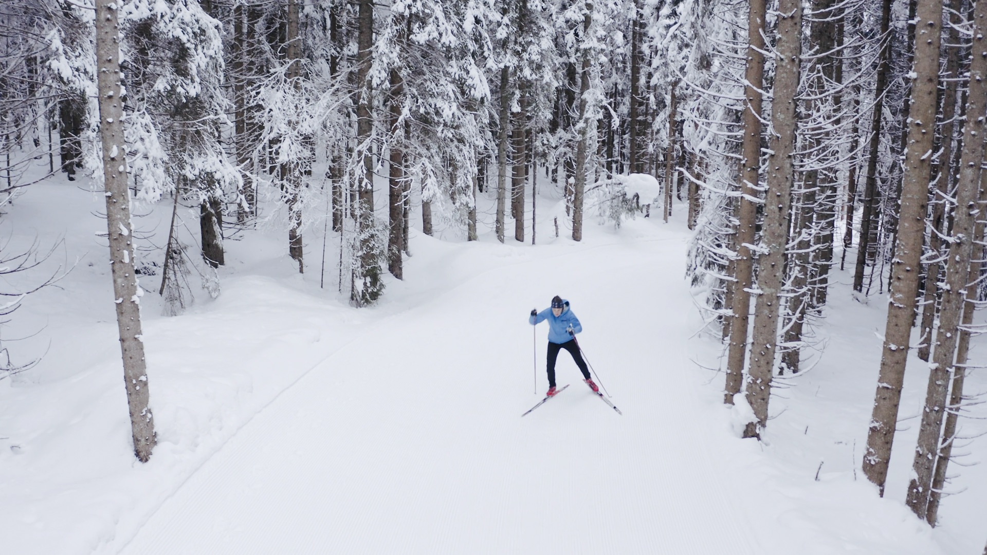 Cross-country skier gliding through a snowy forest in St. Martin am Tennengebirge