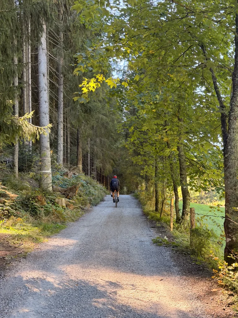 Een wandelpad tussen hoge bomen