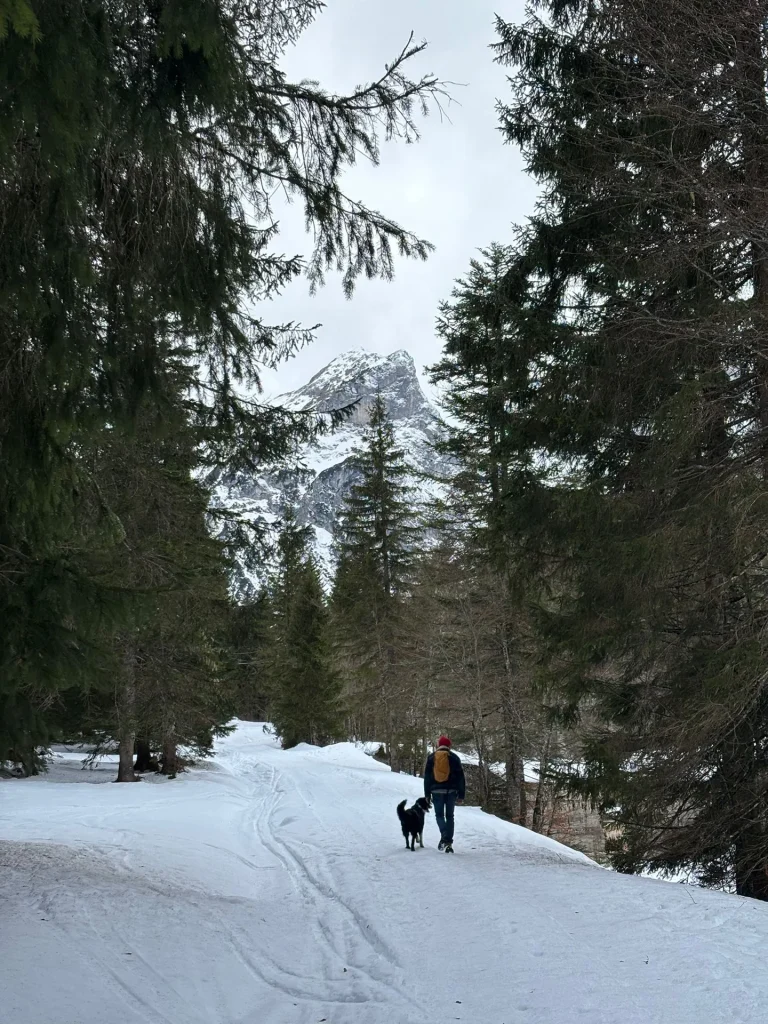 Ein Wanderer auf einem verschneiten Waldweg