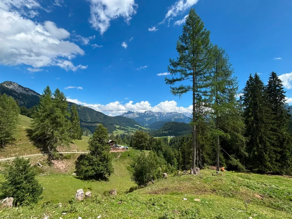 Een zonnige groene bergweide onder een blauwe lucht